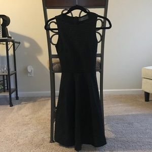 Tinley Black on Black Zebra Dress with Back Cutout